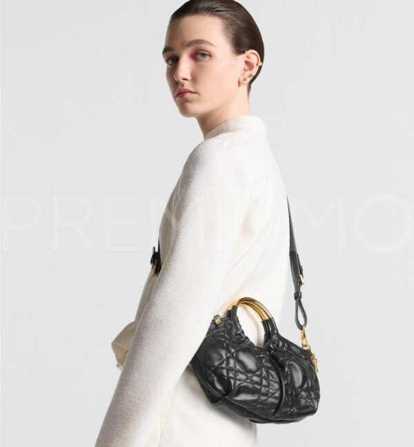 Christian Dior сумка PR552554 11