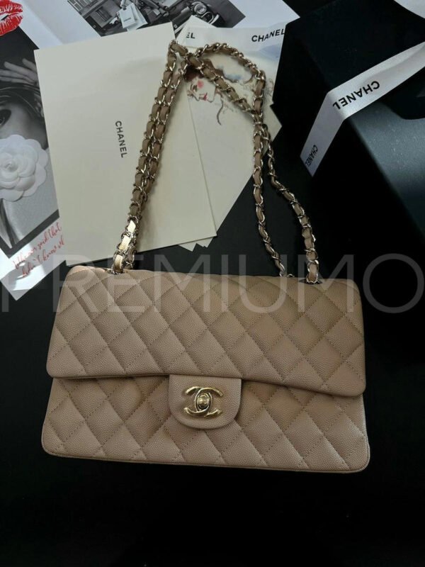Chanel сумка PR410900 4