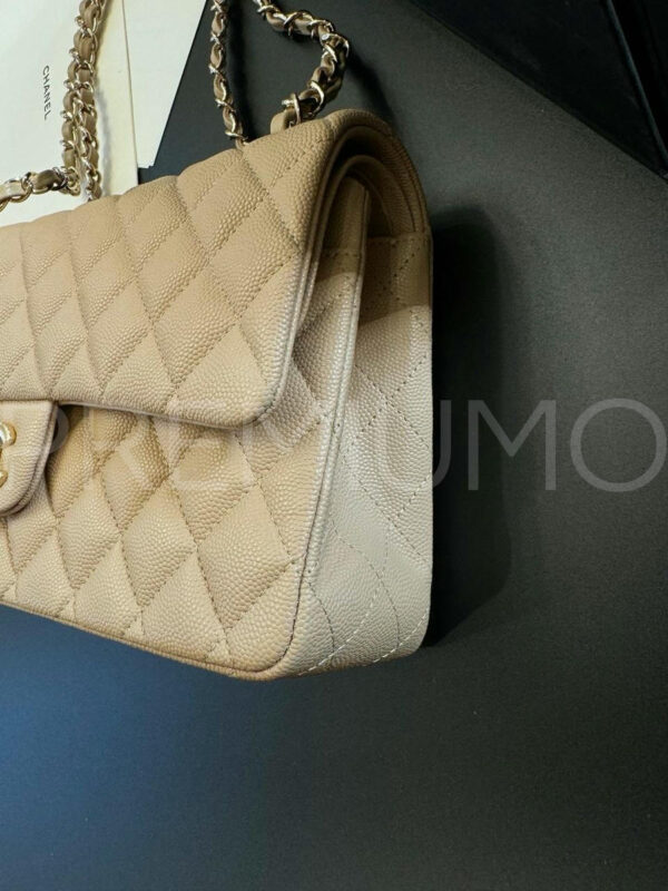 Chanel сумка PR410900 5