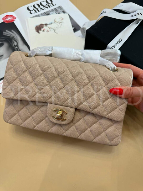 Chanel сумка PR410900 2