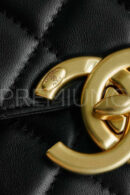 Сhanel сумка PR821095 14