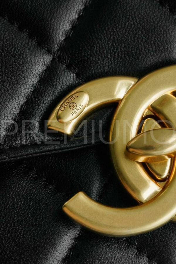 Сhanel сумка PR821095 7