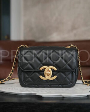 Сhanel сумка PR821095