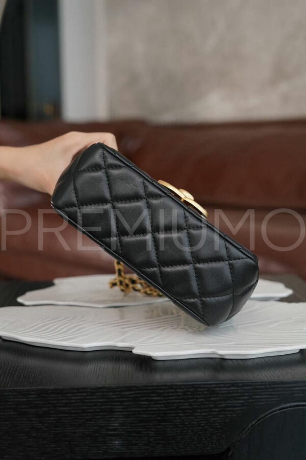 Сhanel сумка PR821095 5