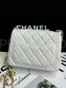 Chanel сумка PR620257 16