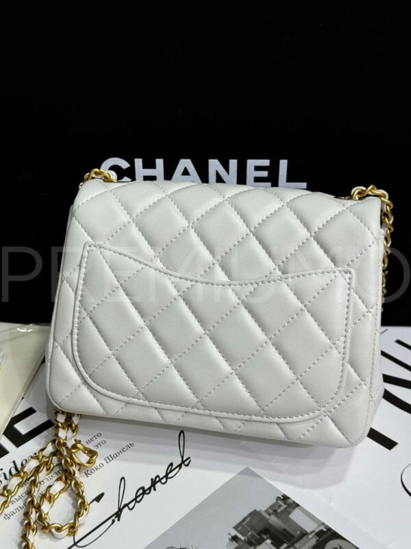 Chanel сумка PR620257 5