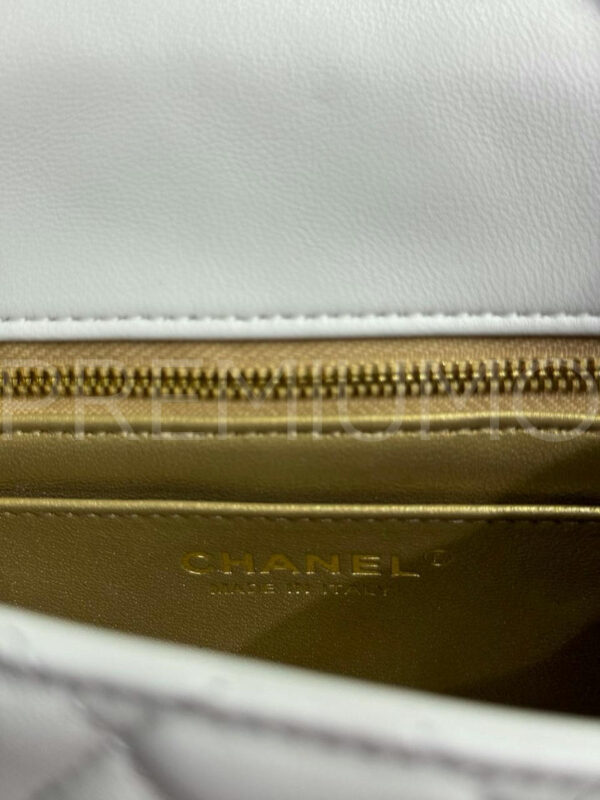 Chanel сумка PR620257 10