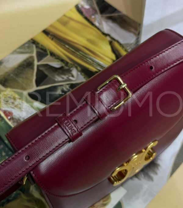 Celine BESACE CLEA IN SHINY CALFSKIN сумка PR870214 6