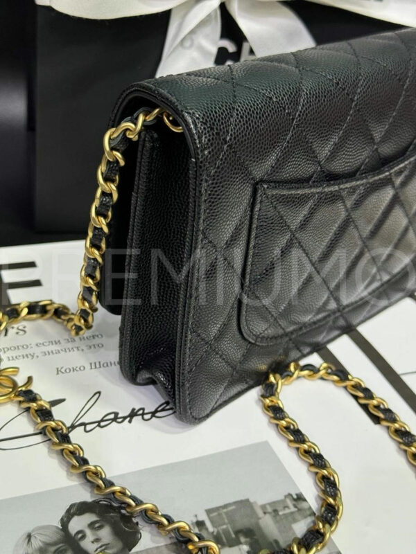 Chanel сумка PR143579 7