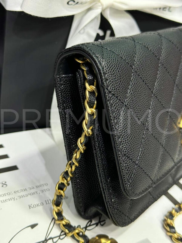 Chanel сумка PR143579 8