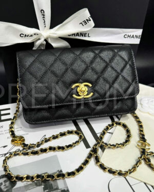 Chanel сумка PR143579