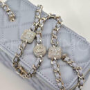 Chanel сумка PR310080 9