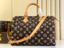Louis Vuitton Speedy 40 сумка PR752069 14