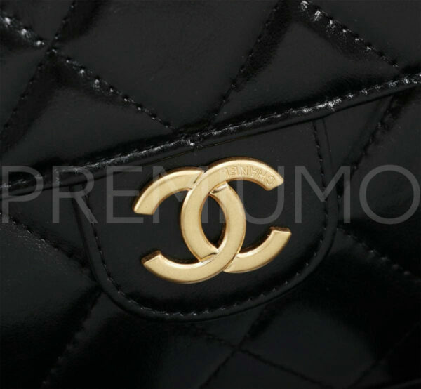Chanel сумка PR180204 5
