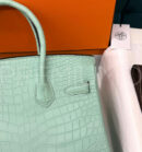 Hermes сумка PR622957 11