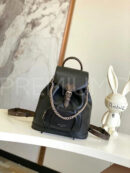 Louis Vuitton рюкзак PR799744 18