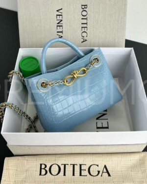 Bottega Veneta сумка PR345271