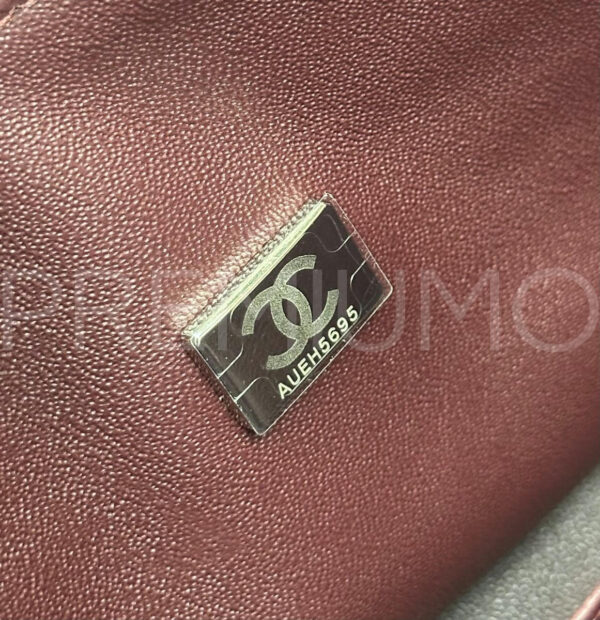 Сhanel сумка PR252302 13