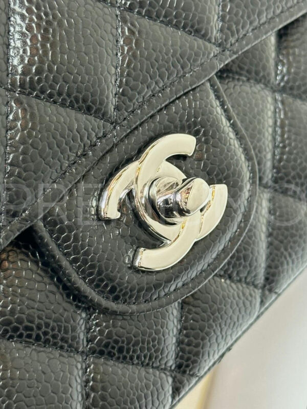 Chanel сумка PR511790 25