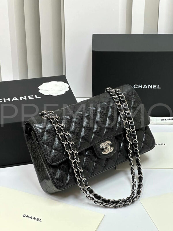 Chanel сумка PR511790 14