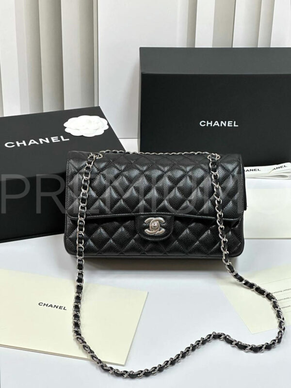 Chanel сумка PR511790 15