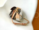 Louis Vuitton сумка PR550031 37