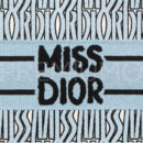 Christian Dior сумка PR294242 17