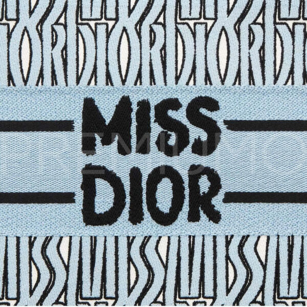 Christian Dior сумка PR294242 5