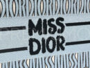 Christian Dior сумка PR294242 23