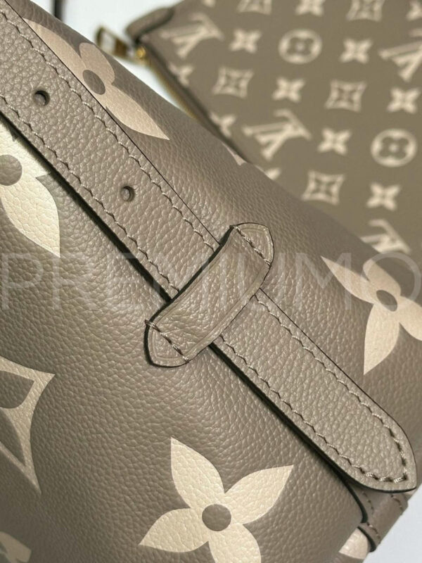 Louis Vuitton Carry All PM сумка PR465710 10