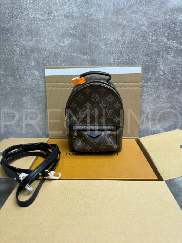 Louis Vuitton рюкзак PR789457 4