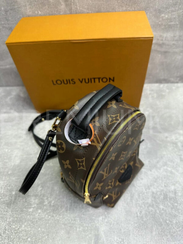Louis Vuitton рюкзак PR789457 5