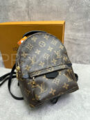 Louis Vuitton рюкзак PR789457 16