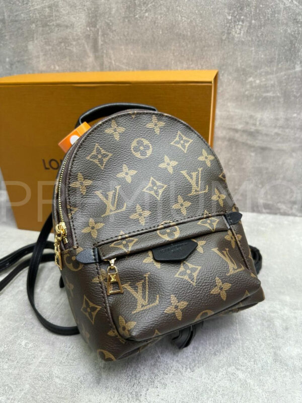 Louis Vuitton рюкзак PR789457 7