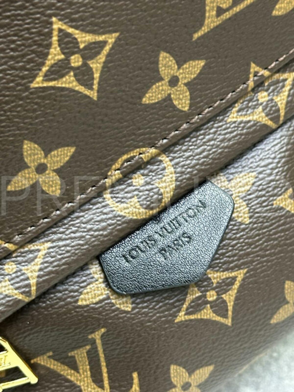 Louis Vuitton рюкзак PR789457 8
