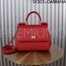 Dolce & Gabbana сумка PR690385 10