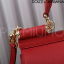 Dolce & Gabbana сумка PR690385 17