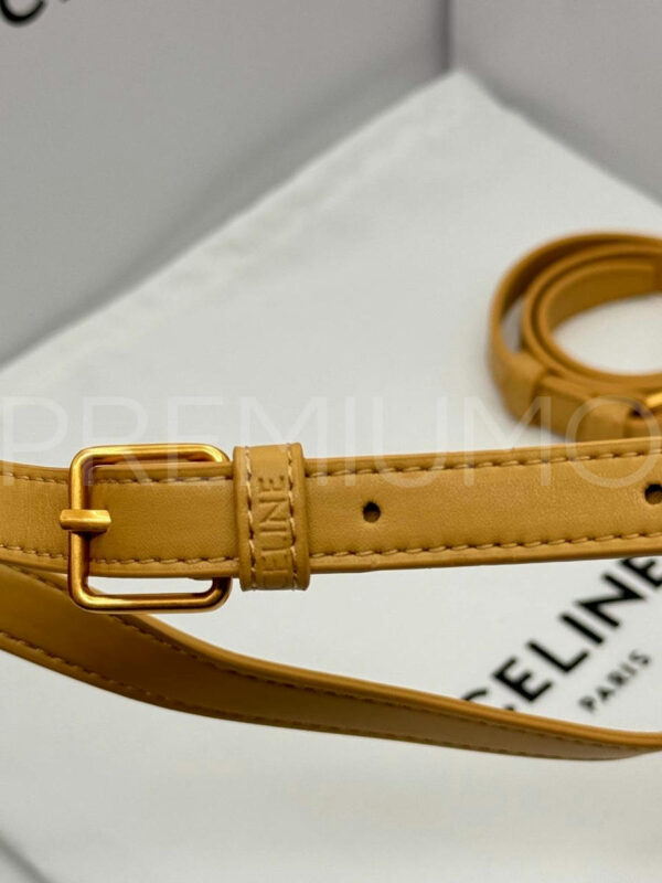 Celine сумка PR677078 6