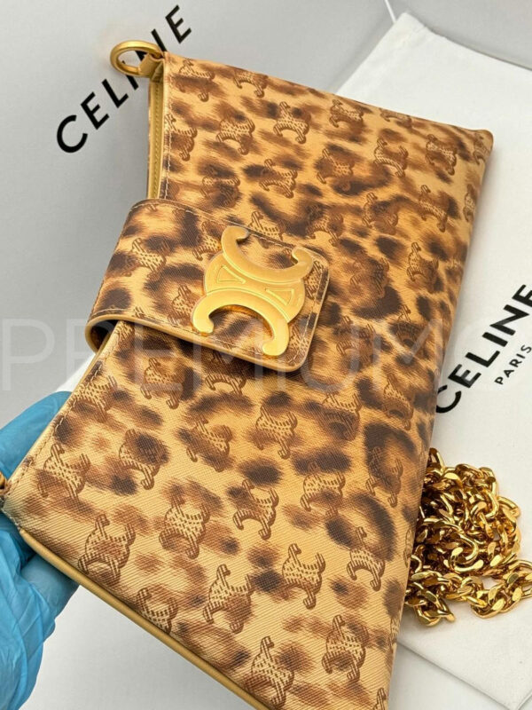 Celine сумка PR566047 4