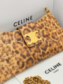Celine сумка PR566047 22