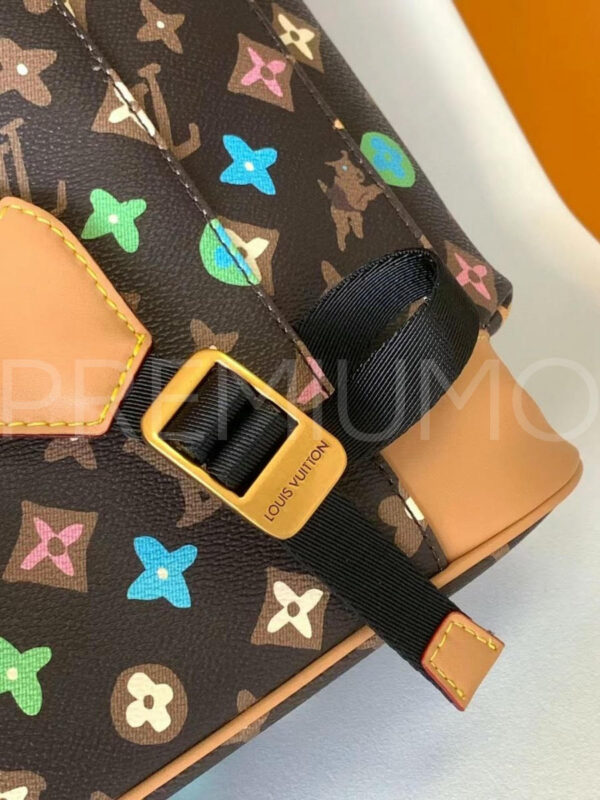 Louis Vuitton рюкзак PR641463 6