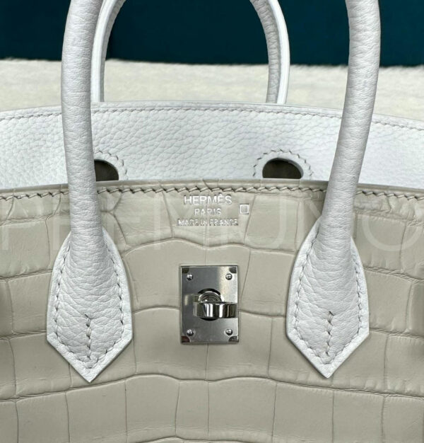 Hermes DAY FAUBOURG BIRKIN 20 сумка PR239529 6