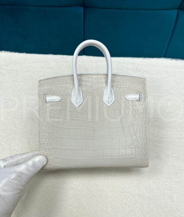 Hermes DAY FAUBOURG BIRKIN 20 сумка PR239529 3