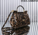 Dolce & Gabbana сумка PR668104 9