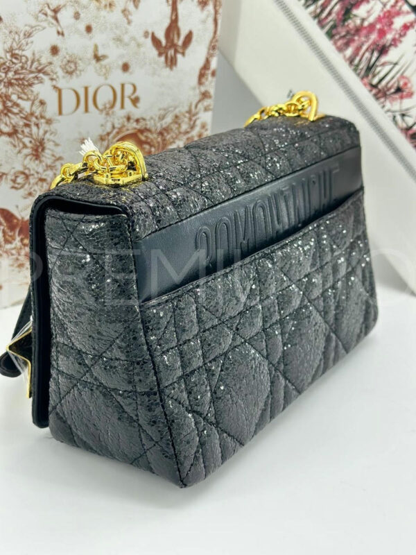 Christian Dior сумка PR638979 3