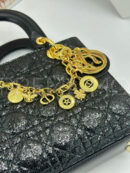 Christian Dior сумка PR484176 8