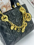 Christian Dior сумка PR484176 6