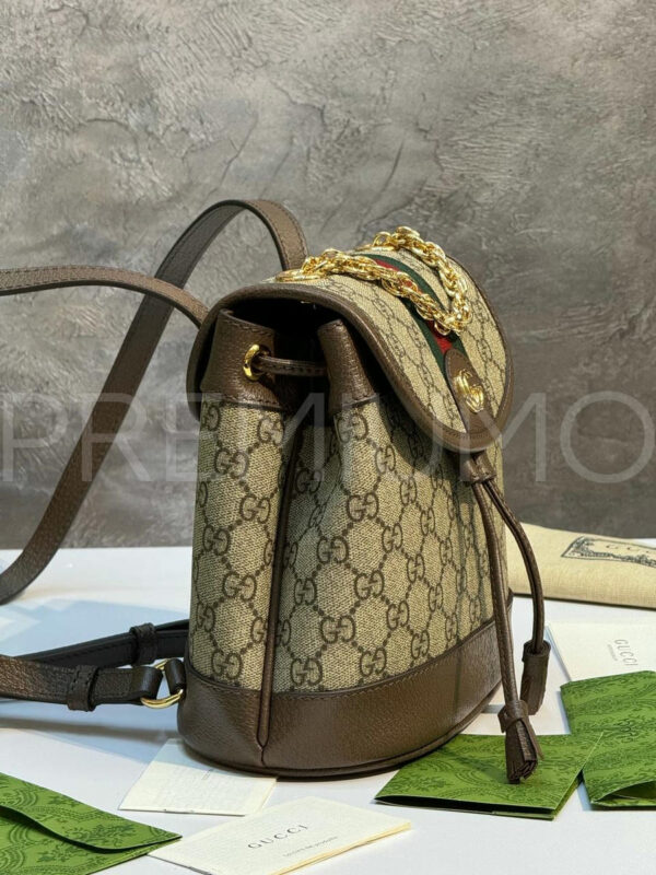 Gucci рюкзак PR800979 3