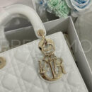 Christian Dior сумка PR585424 10