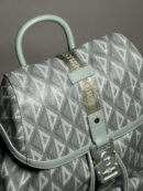Christian Dior рюкзак PR549885 14